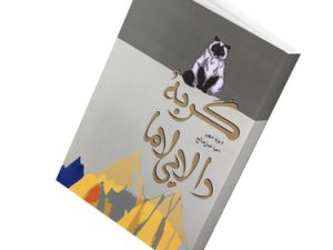 گربه دالایی لاما