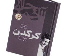 کرگدن