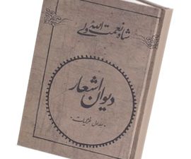 دیوان شاه نعمت اله ولی ( دو جلدی)