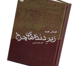زیر دنده های چرخ